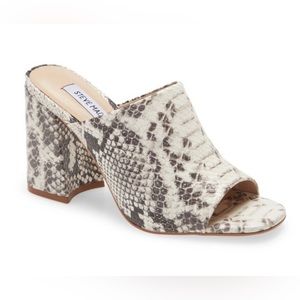 Steve Madden Clarence Mule In Snake Size 8